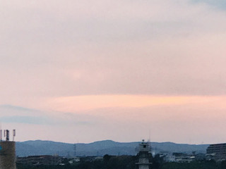 133d010dd1db4fd5963fcd99fa499167