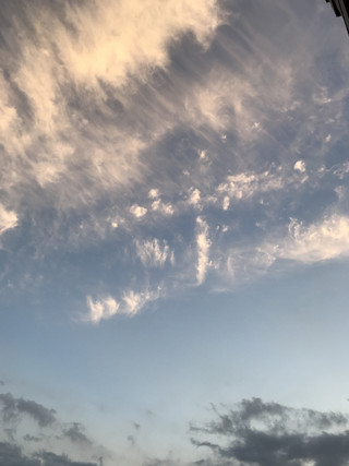 6d5d62353ebd4bfaac21f77a7b7e0bc5