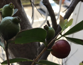 929394bf020d4a9f8304d95aebc43045