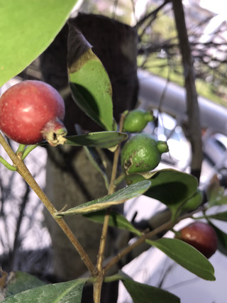 E34cb4399f724473a2d8d93fc58c136f