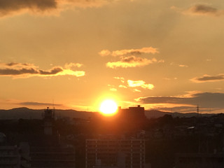 31a6d80733af49f090754812f6c18093