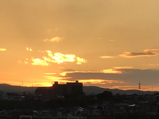 Bd13dbc53f114a5ea086f351180b001b