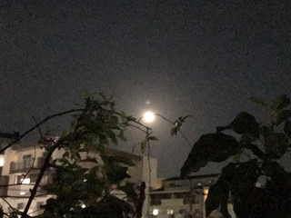 163b42860def48539dd6f12ffc519cd7