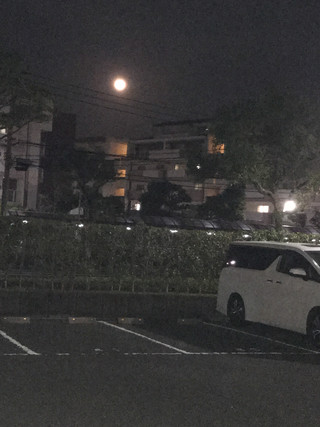 C878398303b14455819f490d83be4a5b