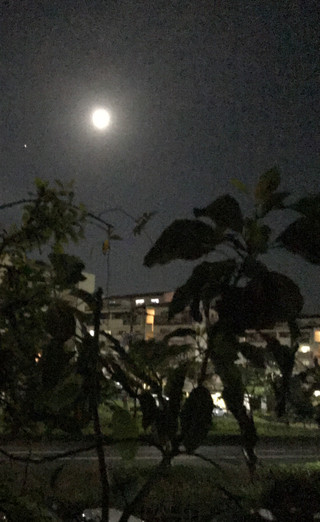 Ed38a0b583264cff823cd21c106e3ed6