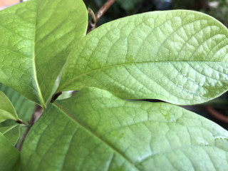 05cabd5d7cd9493fb4f8eb5a5373491b