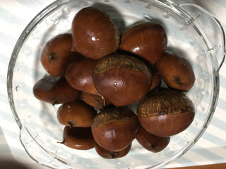 75f7155646a242a2af37e0bc0d472292