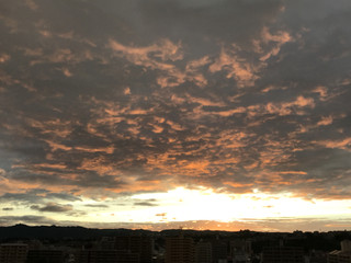 C868710ccffc41a58e34a0695c99a378