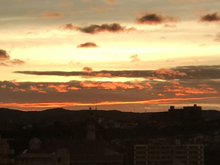 Df35555af4694ab08316858096d24b4c