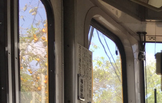 1aaf2724175640449054386dab974d94