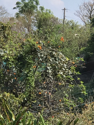 635892f945ba4f5bb80a29b31068a926