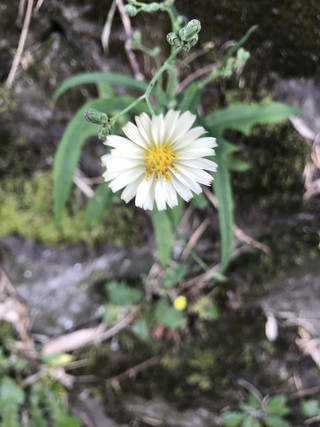 Ccb85f92783d4a66a79398b3688cea21