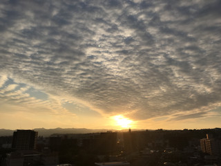 259124340cf94690b41ce2910b17b560