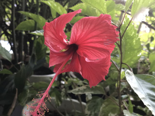 2bba51036bb14da3a4c74ac79968587c