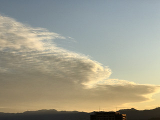 7337d59f8d8846b49f3964074c84703e