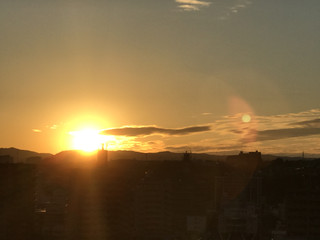 774de19ff64747aaa109682bb2a54902