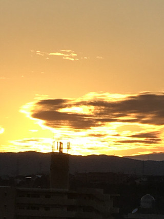 Ba327dfae5b34ee0a498919e87333123