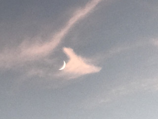 0243d18e7f484697be943f66111f14fb