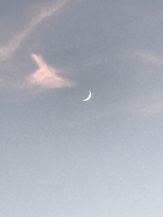 0277377ffc3549ff919be61f52b3791f