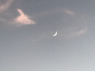 750730504f2f43ae8ea759c370a71c83