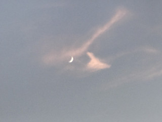 886517422d8943b385195895eb2eb526