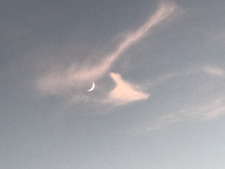 Bc28bdfd0f524e5bbe1f522834c76596