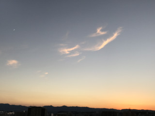 Ef8347e3a976495287fdf8b9d6b0a7ec