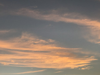 D239ef8c514848809fa1b73eb3499eee