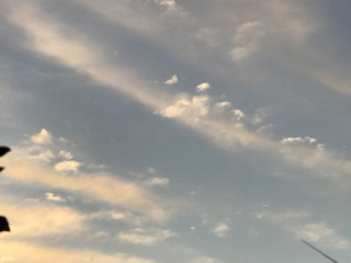 Fa864276b5174a2793af1a0ca11d70e2