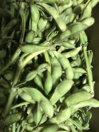 Ad8473b6bbd146da852733e792ad4293