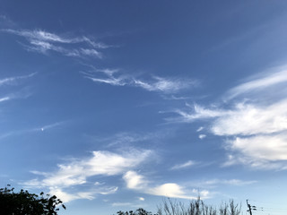 18078d8018fc42869c693c14e10ad1c0