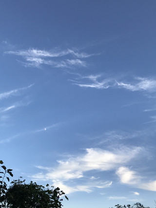 2dcd35f12a8649d5973b2c1c87e8f500