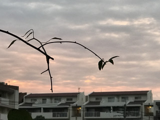 E3839468be2e46c5a7311c74b5f90eea