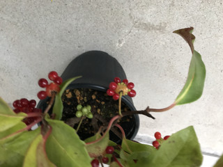 57da6966e7d34c309e0fc7fa06b3be4f