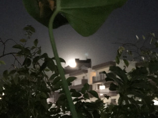 003ce314e45f4ef2b7defad265c01a0b