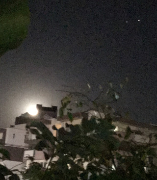 9e65104360e8456c898ea952ec4381f6