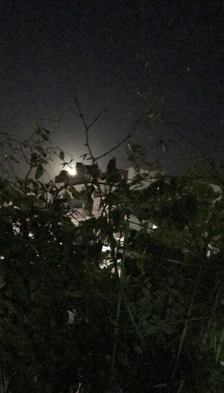 Bd6200710596411da16cafb35a2a7ee2