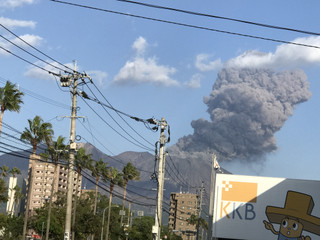 677c055b56f24d06a0b3a0133579655f