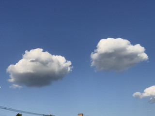 7955dd638ce245cb855a32d5b166d05e