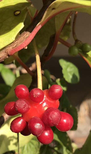 Cf1e7eda0b344add91daf0f242872b1e