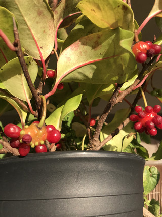 D2b6dfbd3e8a46f9b5a9d00a0b83867b