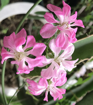 21d2c8e21d0543cc8b1395d4d7f2964e