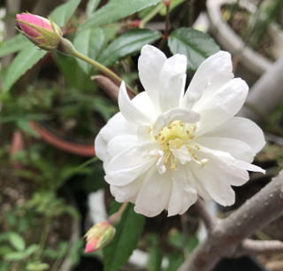 456248cd292646fda3d2e9f28908f456