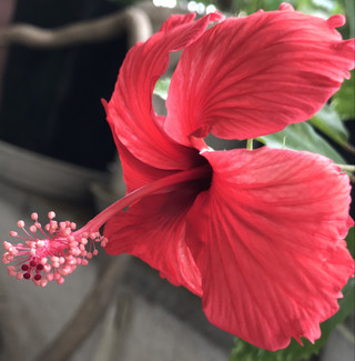 5ba7bd58c5da4c839824729c12e72332