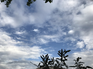 723f001325e94b2ca78d8e30d96ba673