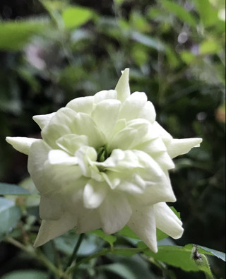 76dc9a18f41f47b8940d02aa091561a9