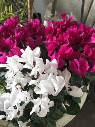 846cd72d8e3b4192937cc188e11b58ce