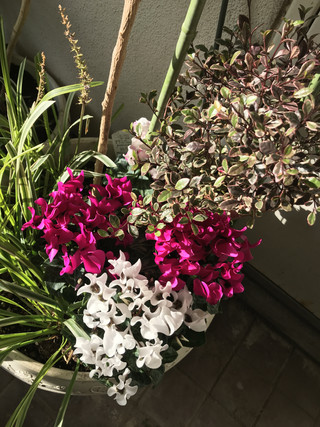 86e828e7ea324bd78e8bb386566e206b