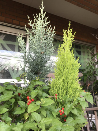 D03b0385a8ea4f4bac153aa32bbdcdae