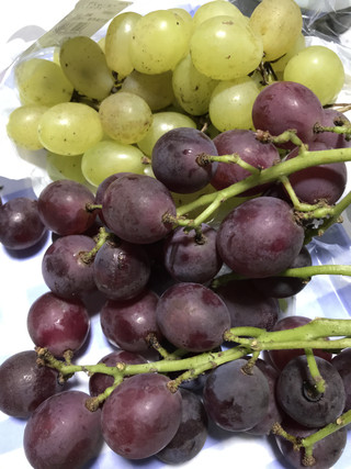 90b40df0ea294292817578adf5484e4d